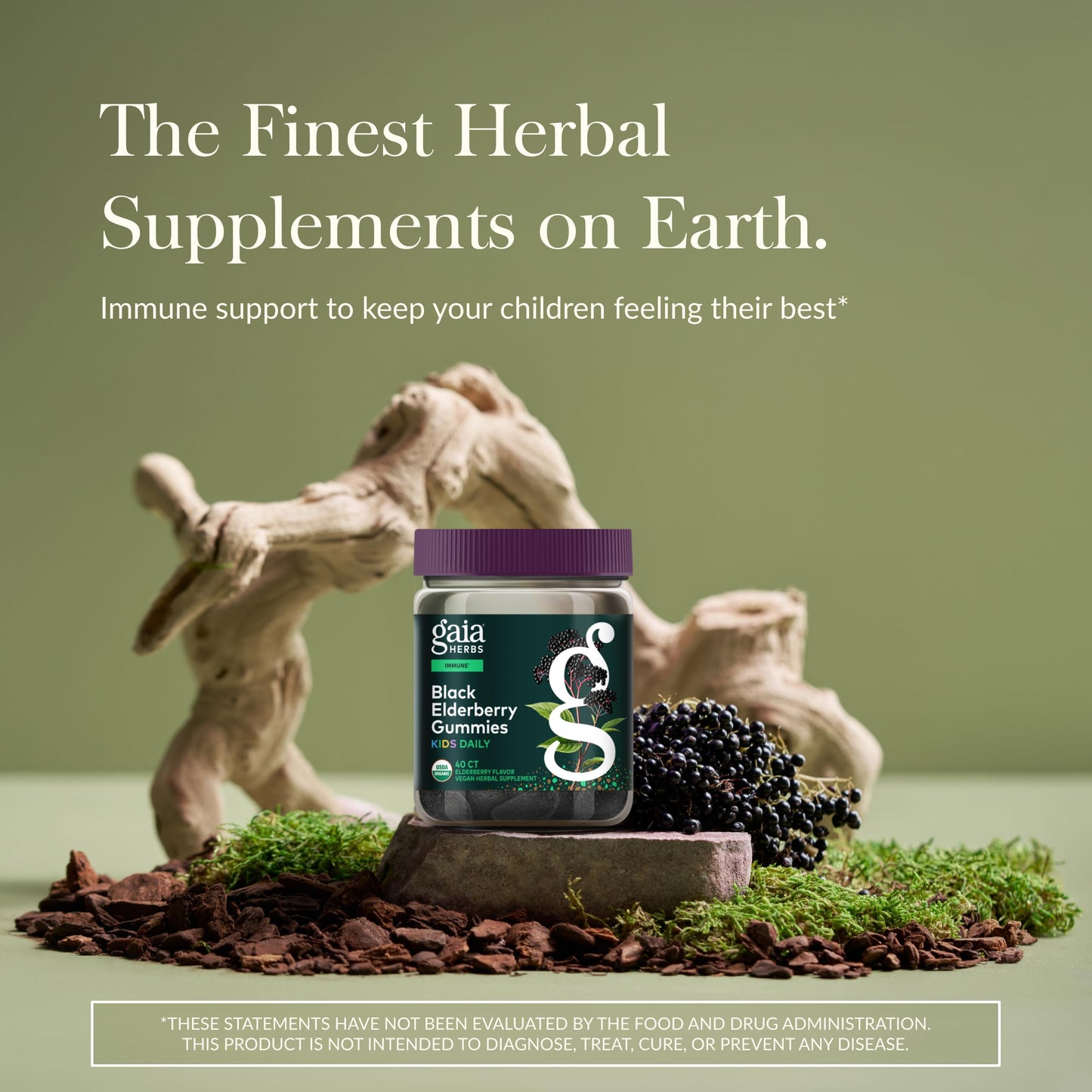 GaiaKids Black Elderberry Daily Gummies for Kids | Immune Support | Organic Elderberries | 40 Gummies