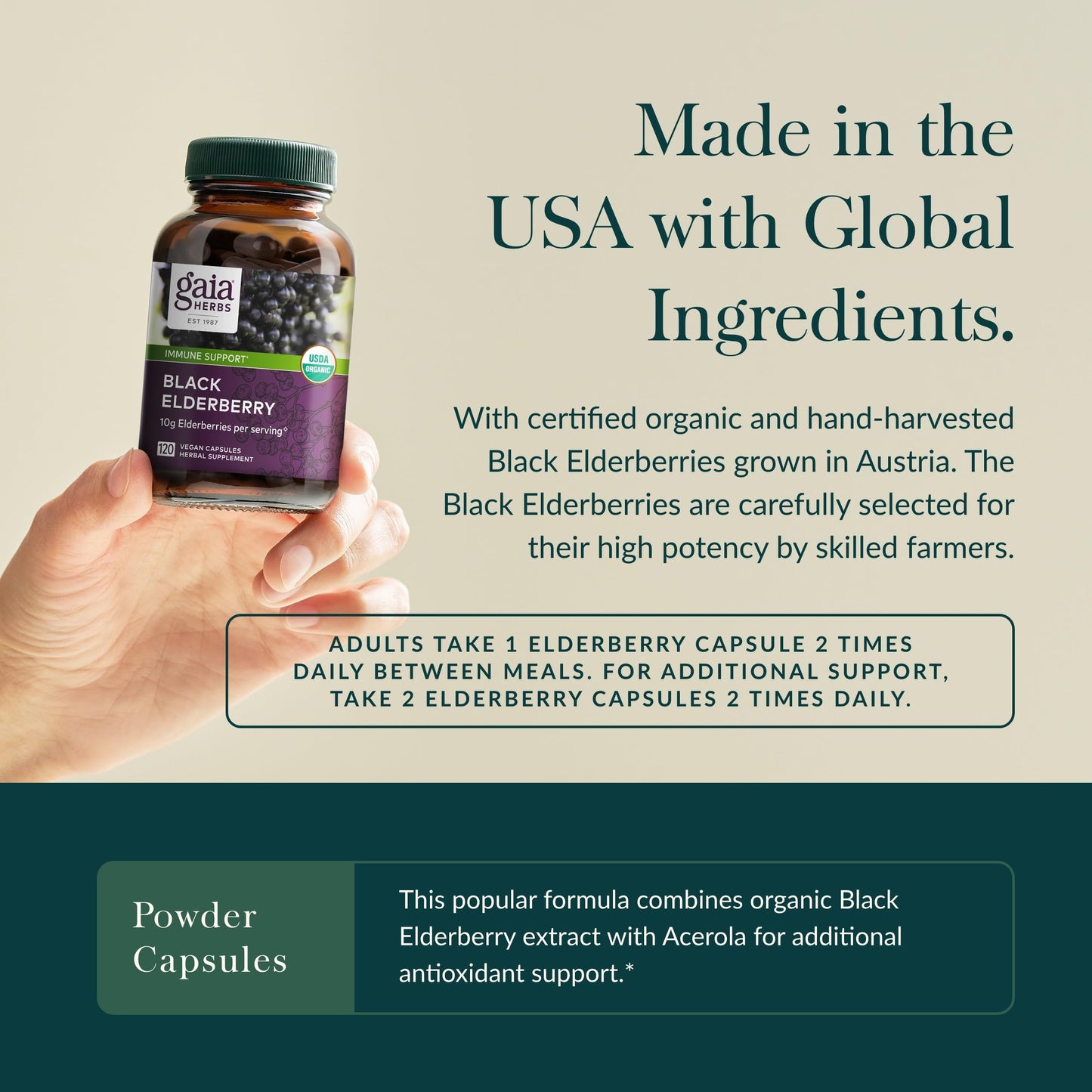 Gaia Herbs Black Elderberry – Daily Immune Support Capsules with Acerola (120 Vegan Capsules, 60 Servings)