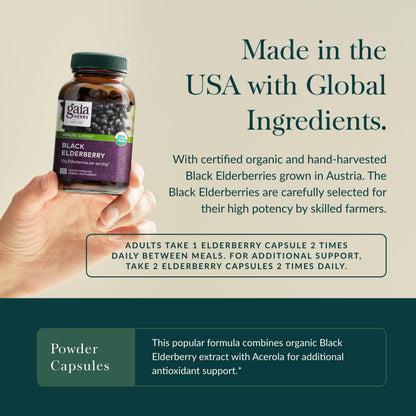 Gaia Herbs Black Elderberry – Daily Immune Support Capsules with Acerola (120 Vegan Capsules, 60 Servings)