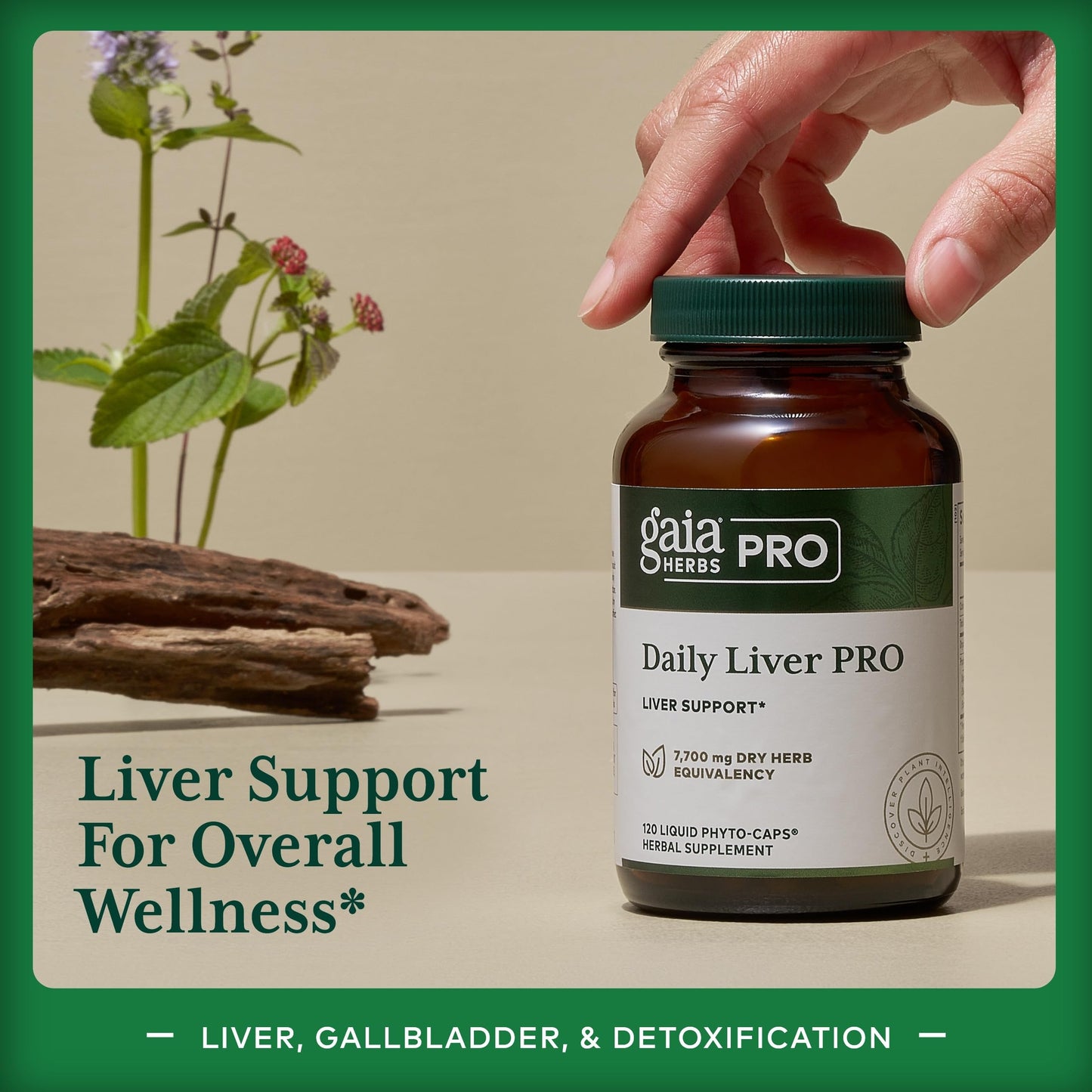 Gaia Herbs Pro Daily Liver Pro – Natural Liver Support with Milk Thistle, Turmeric, Licorice Root | Vegan, Organic & Gluten-Free | 120 Liquid Phyto-Caps (60 Servings)