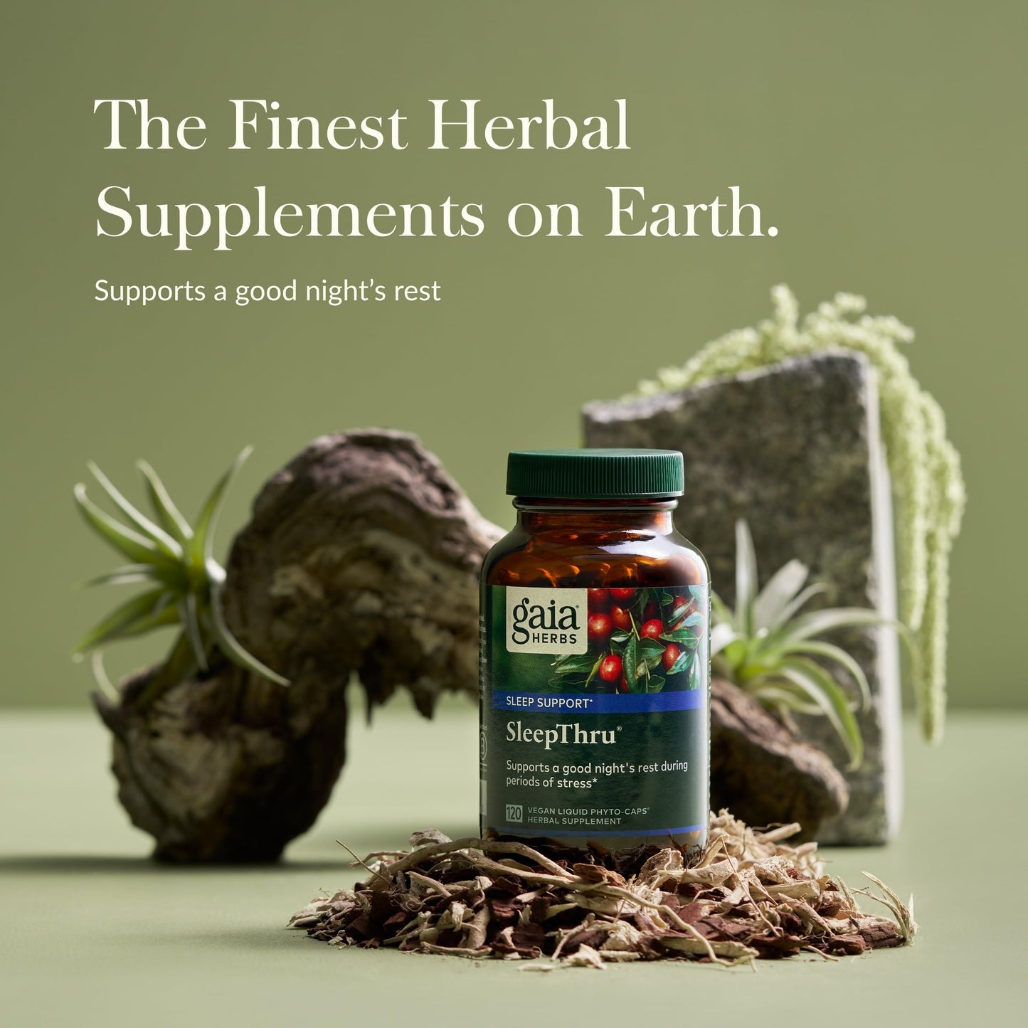 Gaia Herbs SleepThru – Sleep Support with Ashwagandha, Magnolia Bark, Passionflower & Jujube Date | 120 Vegan Liquid Phyto-Caps (60 Servings)