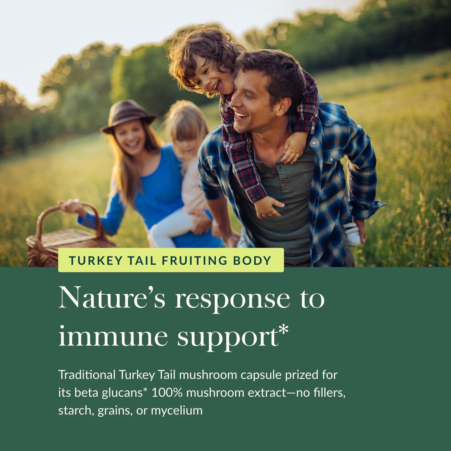 Gaia Herbs Turkey Tail Mushroom – Immune Support & Liver Health, 120 Vegan Capsules