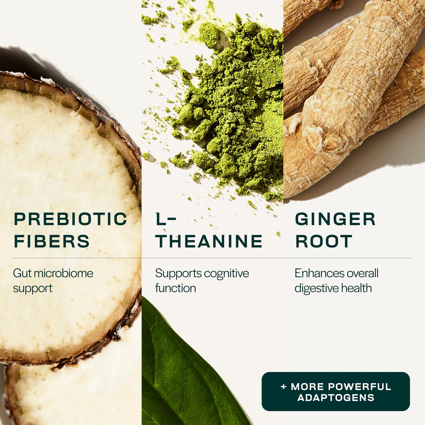 Gainful Daily Performance Greens Powder – Coconut Pineapple, Gut Health & Energy