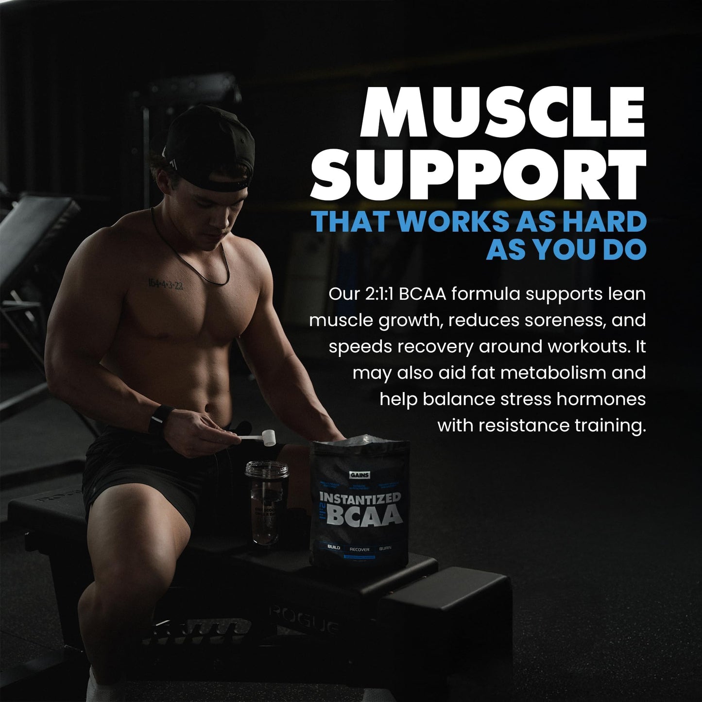 Gains in Bulk Plant-Based BCAA Powder – Vegan, Gluten-Free, Unflavored