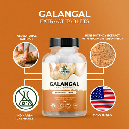 Galangal 10X Extract Tablets 1,000 mg – High-Potency Herbal Supplement – 30 Count – Vegan & Non-GMO