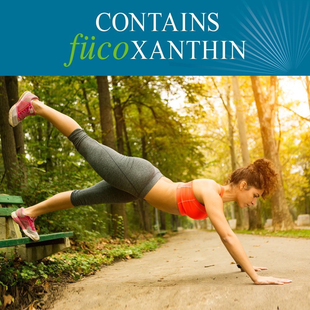 Garden of Life FucoThin Fucoxanthin Supplements – Non-Stimulant Fat Burner, 180 Count