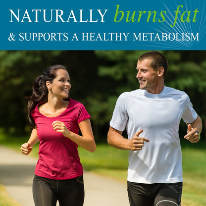Garden of Life FucoThin Fucoxanthin Supplements – Non-Stimulant Fat Burner, 180 Count