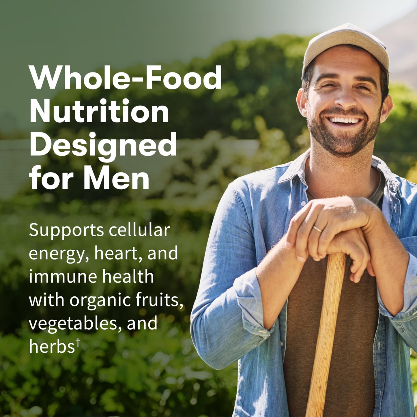 Garden of Life Once Daily Men's Multivitamin – Organic Vegan for Men, Prostate & Heart Support, 60 Tablets