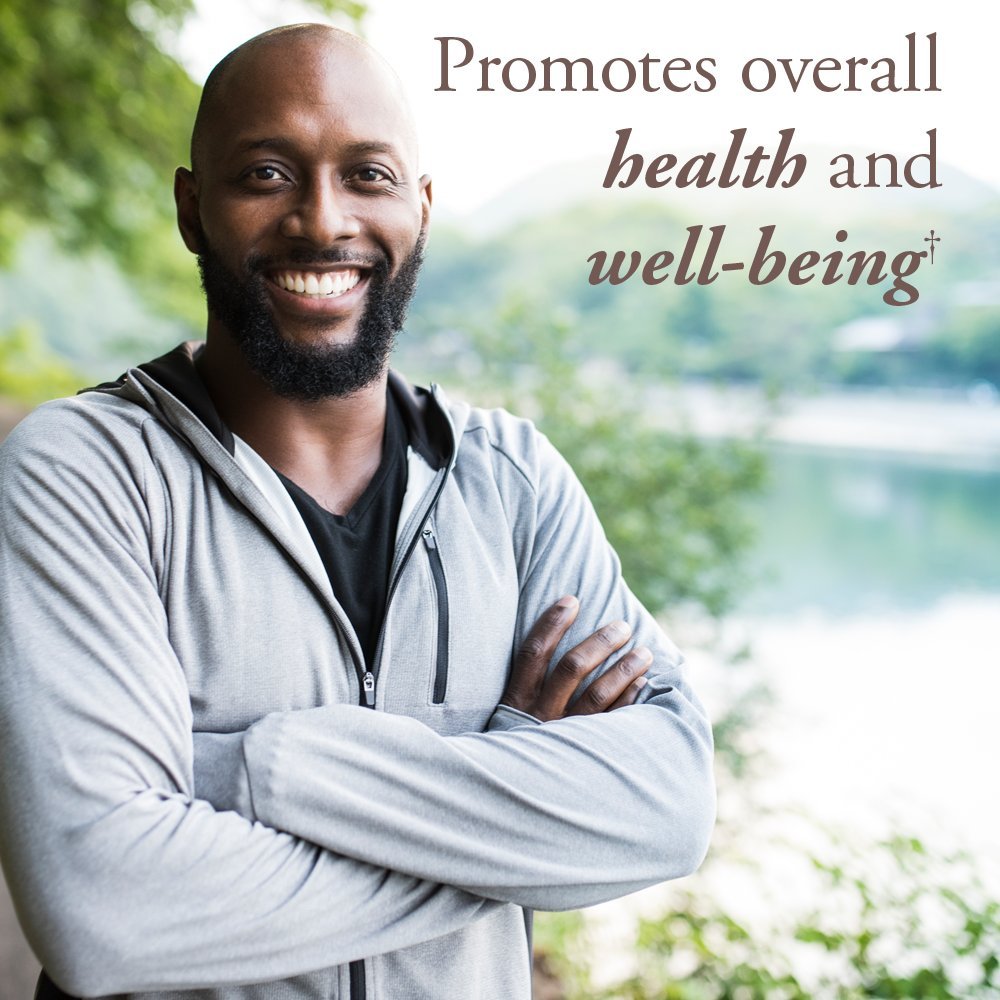 Garden of Life Organics Organics Whole Food Multivitamin for Men 40+ 120 Tablets | Vegan & Certified Organic
