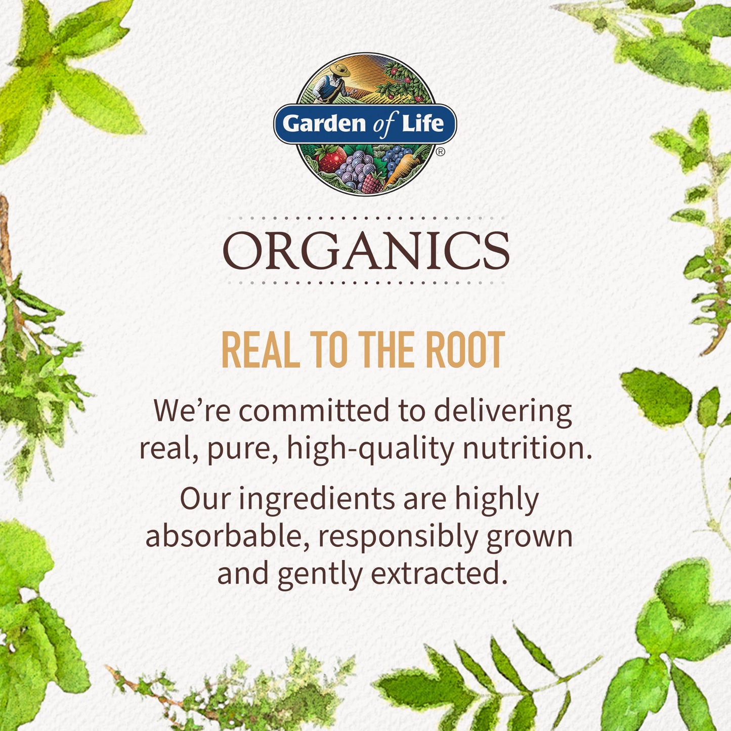Garden of Life Organics Women’s Multi – Vegan Whole Food Multivitamin (120 Tablets)