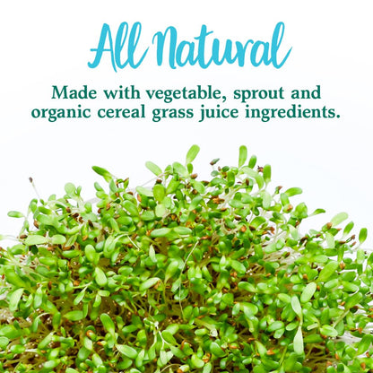 Garden of Life Perfect Food Super Green Formula – 30 Servings, 45 Superfoods