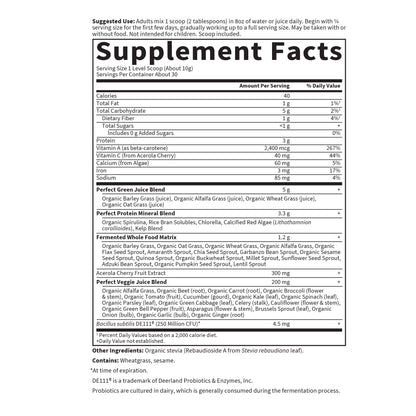 Garden of Life Perfect Food Super Green Formula – 30 Servings, 45 Superfoods