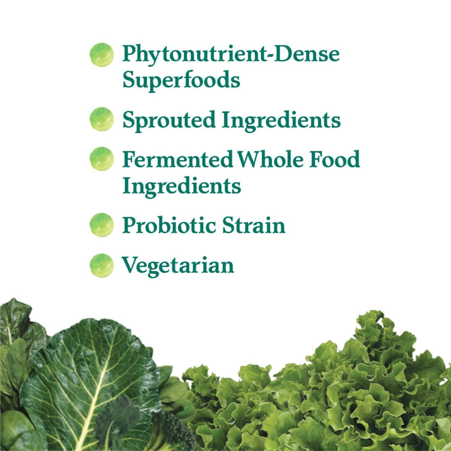 Garden of Life Perfect Food Super Green Formula – 30 Servings, 45 Superfoods