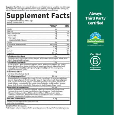 Garden Of Life Perfect Food Powder Super Green - 10.58 oz