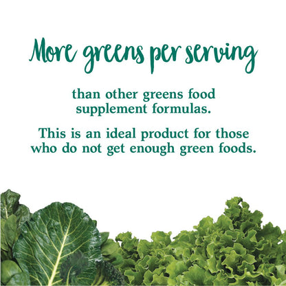 Garden of Life Perfect Food Super Green Formula – 30 Servings, 45 Superfoods