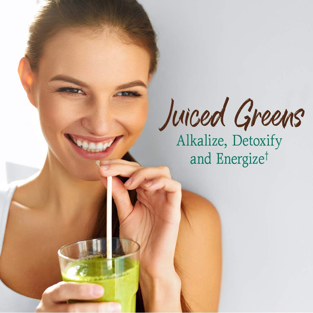 Garden of Life Raw Organic Perfect Food Chocolate – Green Superfood with Probiotics & Enzymes