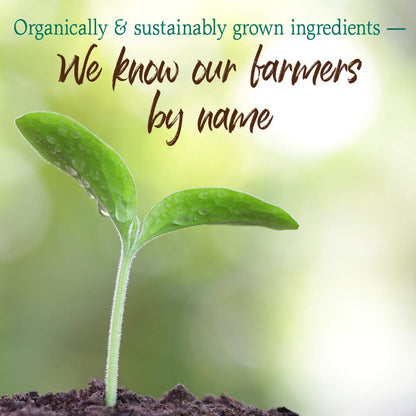 Garden of Life Raw Organic Perfect Food Chocolate – Green Superfood with Probiotics & Enzymes