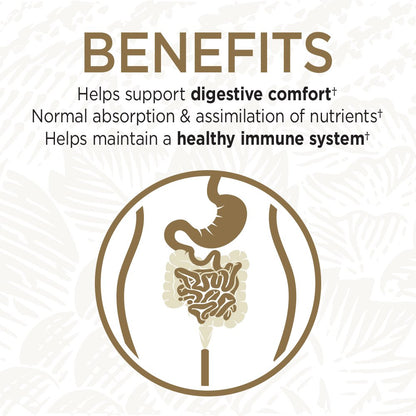 Garden of Life Primal Defense Ultra Probiotics – 15B CFU, 13 Strains + HSO, Vegetarian & Gluten Free, 216 Capsules