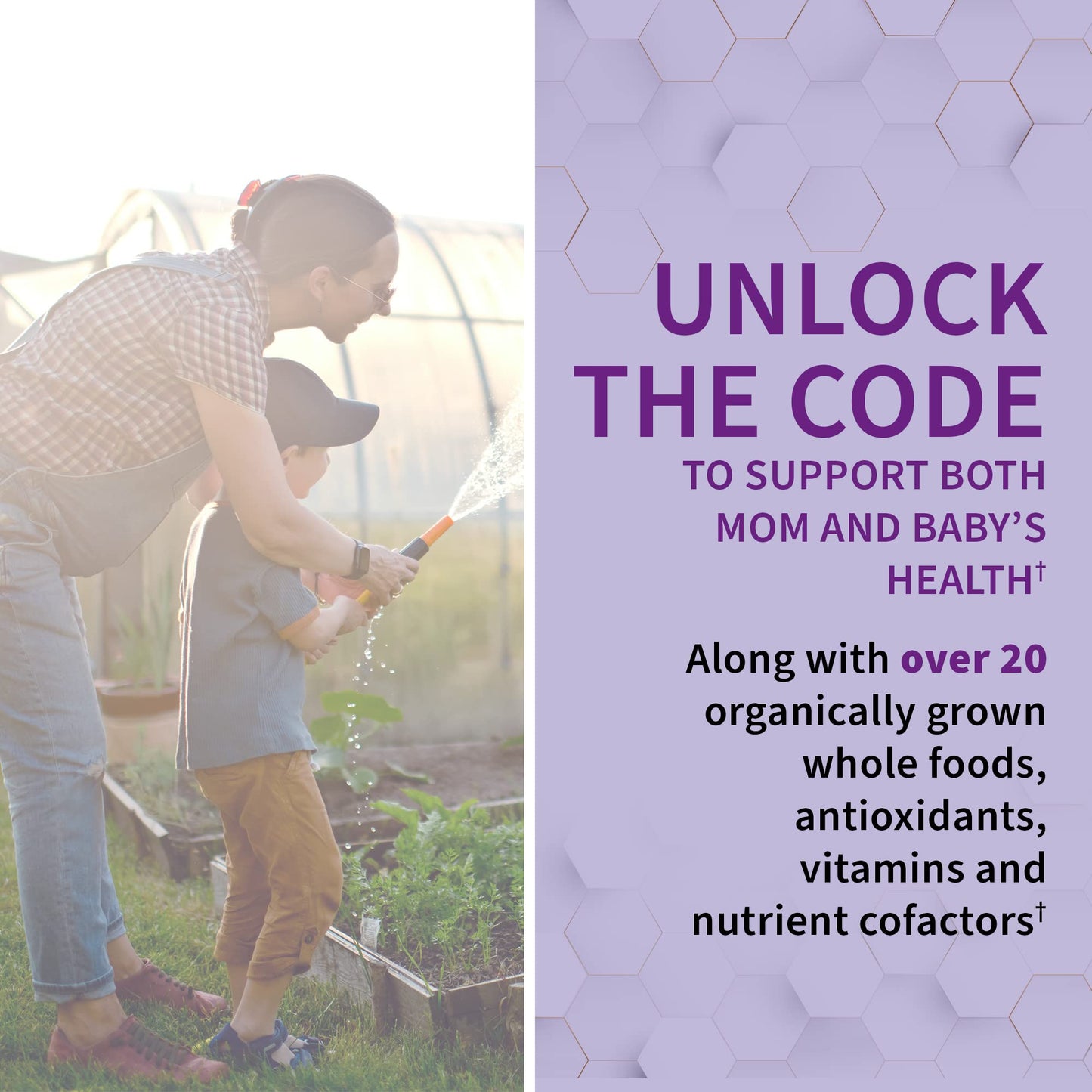 Garden of Life Vitamin Code RAW Prenatal | Whole-Food Prenatal Multivitamin (180 Veg Capsules)