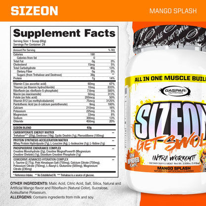 Gaspari SizeOn Mango Splash – Hybrid Intra-Workout Amino Acids & Creatine