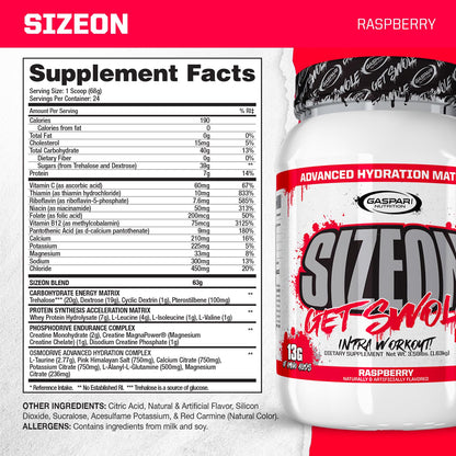 Gaspari SizeOn – Hybrid Intra-Workout Amino Acids & Creatine for Muscle Size & Recovery (3.59 lb Raspberry)