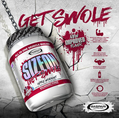 Gaspari SizeOn – Hybrid Intra-Workout Amino Acids & Creatine for Muscle Size & Recovery (3.59 lb Raspberry)