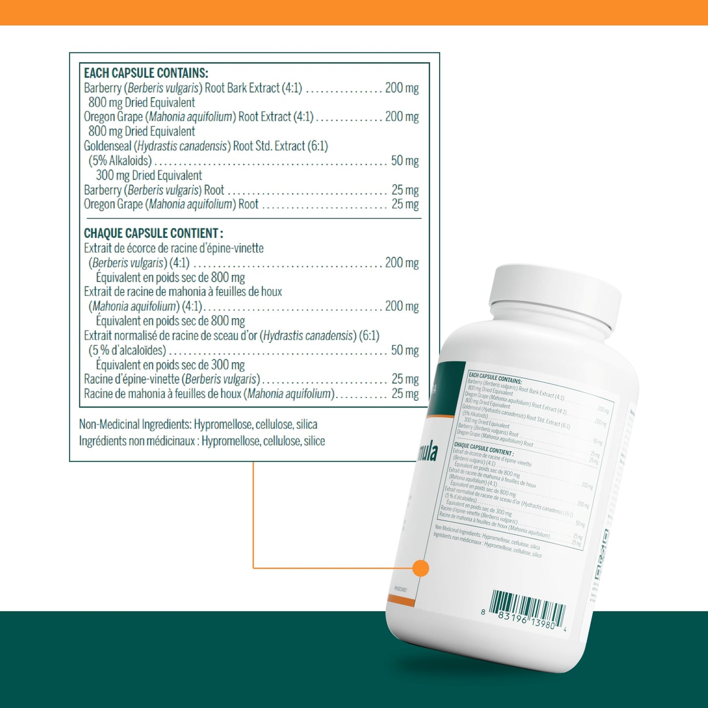 Genestra Brands Berberis Formula – Barberry, Goldenseal & Oregon Grape | 180 Capsules