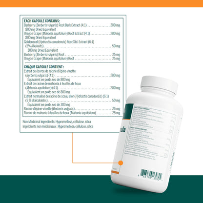 Genestra Brands Berberis Formula – Barberry, Goldenseal & Oregon Grape | 180 Capsules