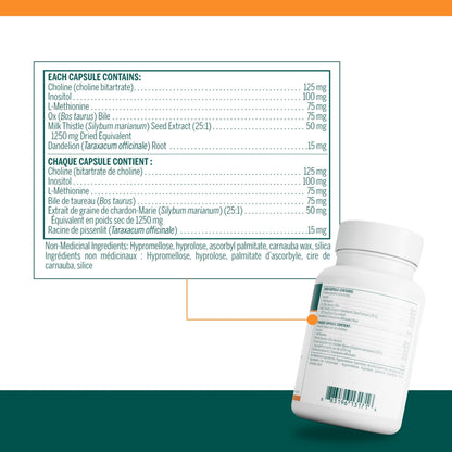 Genestra Ichol Plus Digestive Supplement – 90 Capsules | Genestra Brands