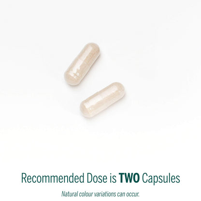 Genestra Ichol Plus Digestive Supplement – 90 Capsules | Genestra Brands