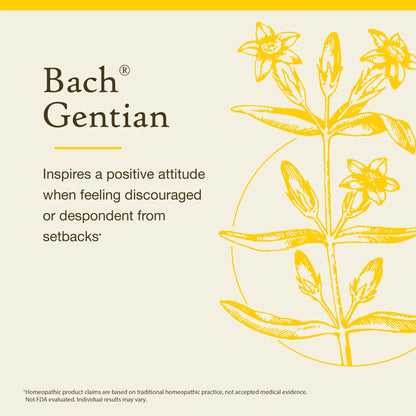 Bach Gentian (Non-Alcohol Formula) - Accept Setbacks | Emotional Balance | Vegan, Gluten Free, Sugar Free - 10mL Dropper