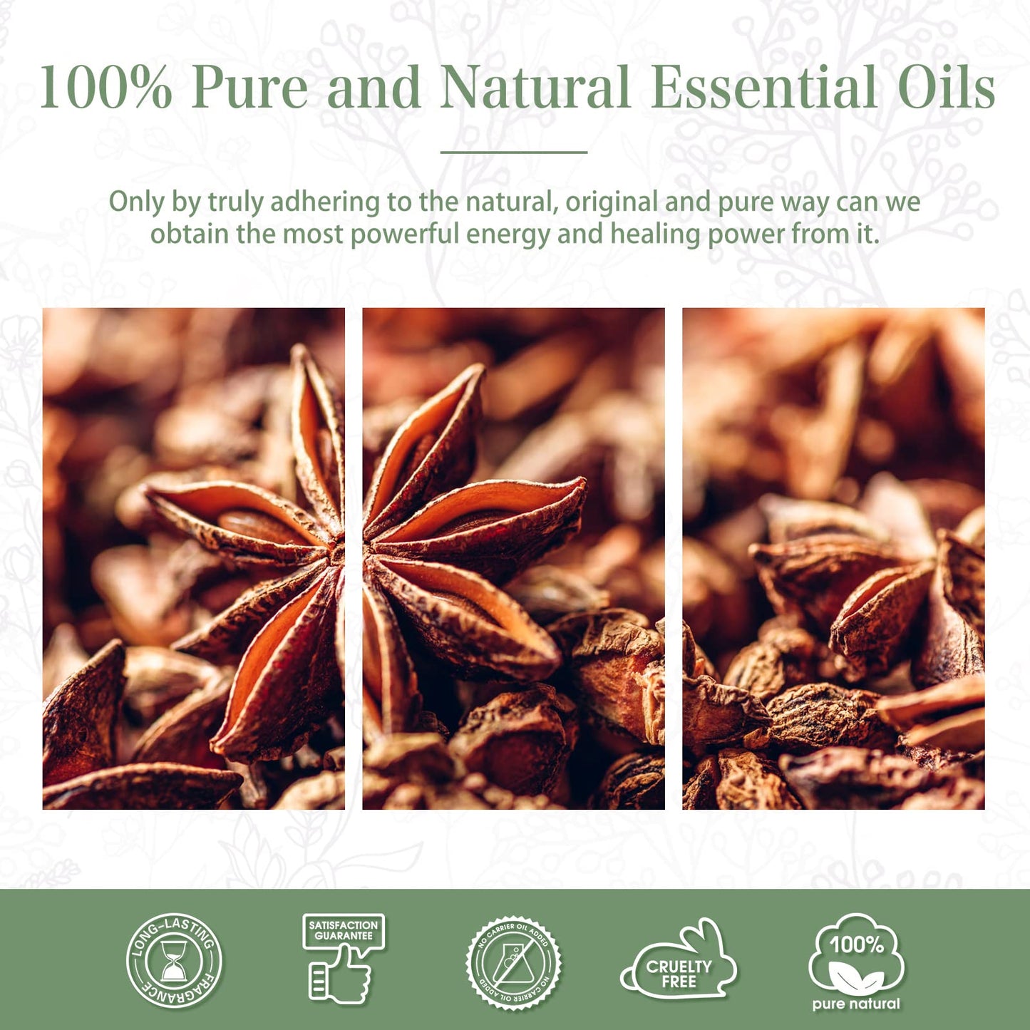 Anise Star Essential Oil 100ml | PHATOIL Aromatherapy for Diffuser & DIY