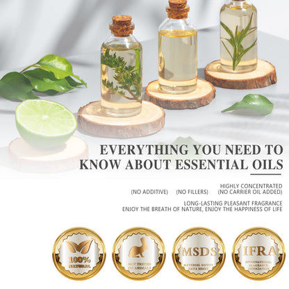 Eucalyptus Essential Oil – MAYJAM 3.38 fl oz Large Bottle Pure Essential Oil for Diffuser, Skincare & Hair Care
