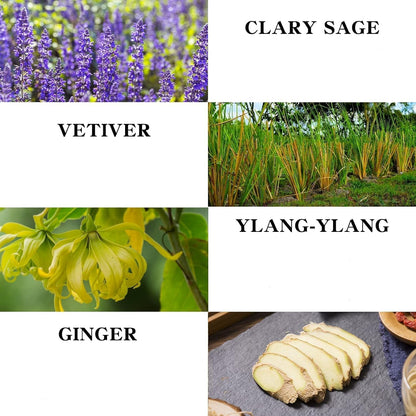Ginger Massage Oil for Relaxing Muscles – Body & Skin Moisturizing, 8.8 oz