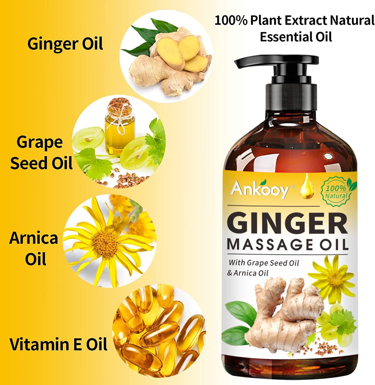 3 Pack Ginger Massage Oil – Arnica, Vitamin E & Grape Seed | Lymphatic Drainage | 100% Natural Ginger