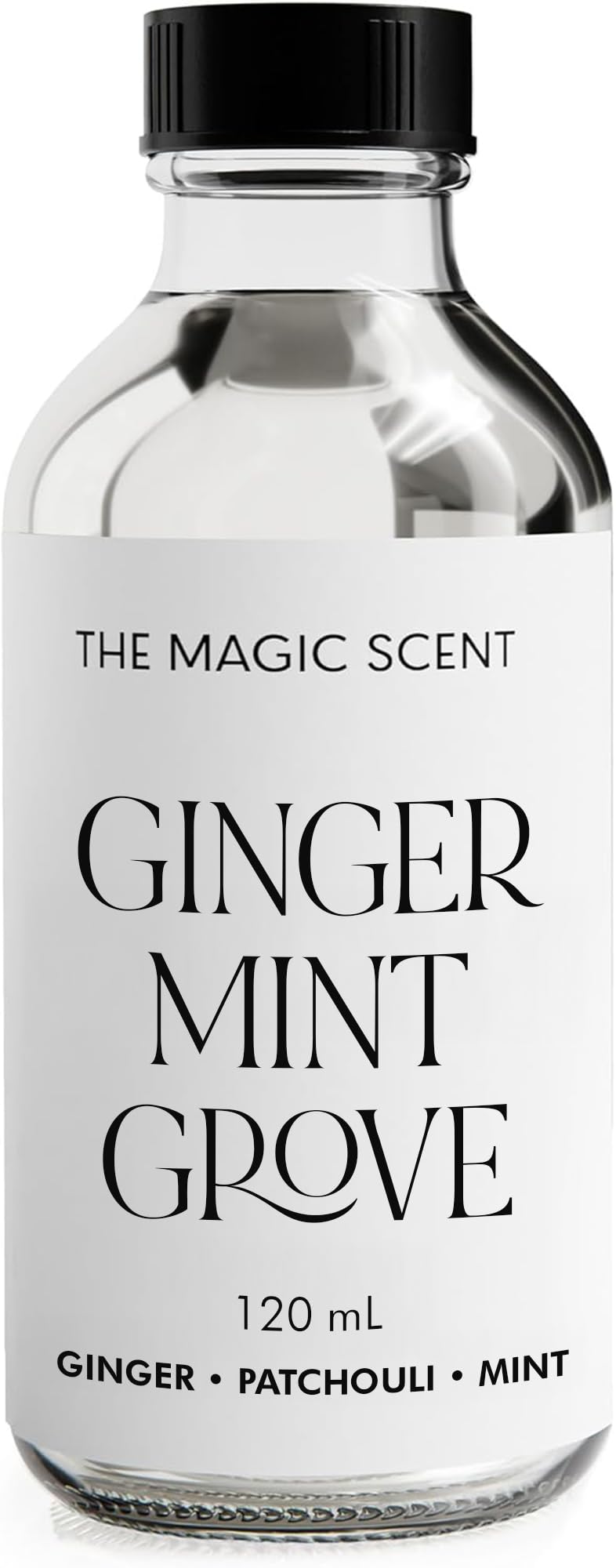 The Magic Scent Ginger Mint Grove Diffuser Oil - Luxury Hotel & Home Scents - 4 oz (120 mL)