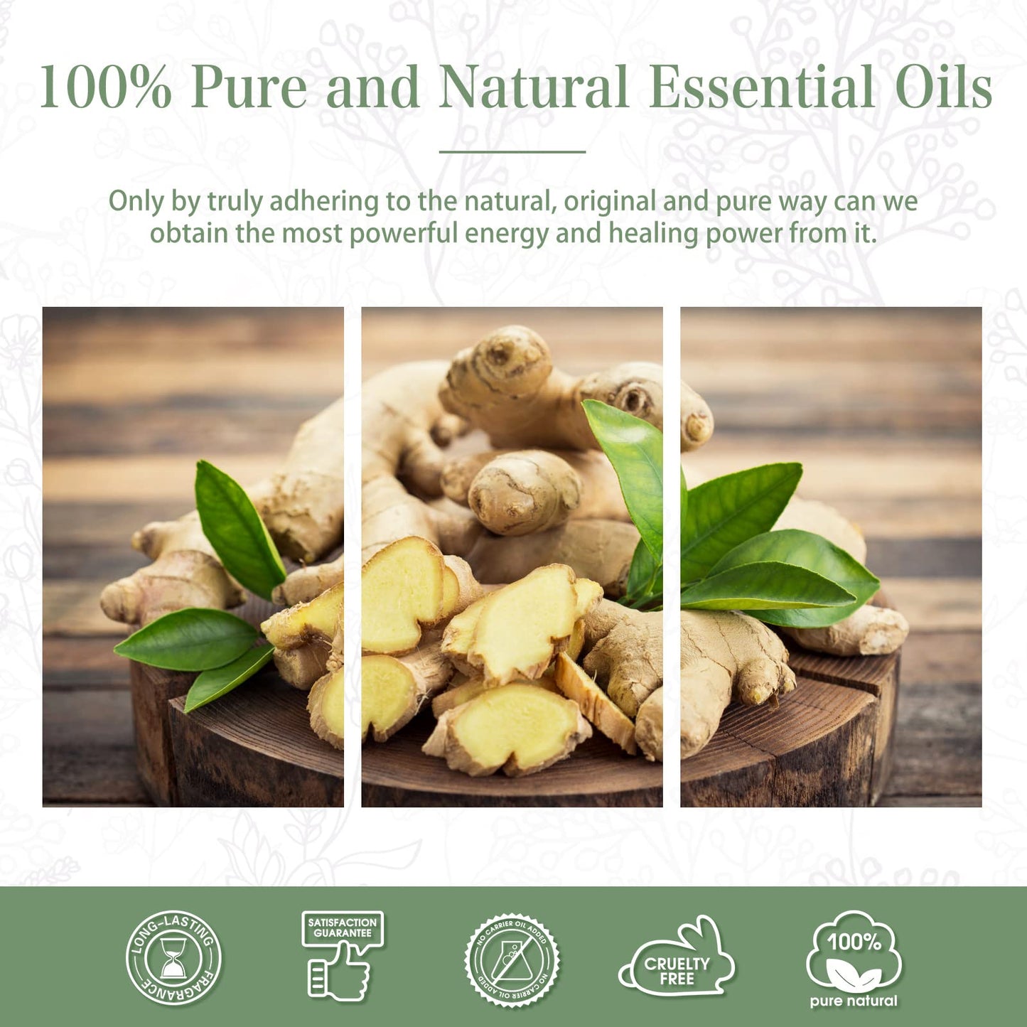 Ginger Essential Oil 100ml | PHATOIL Aromatherapy for Diffusers & DIY