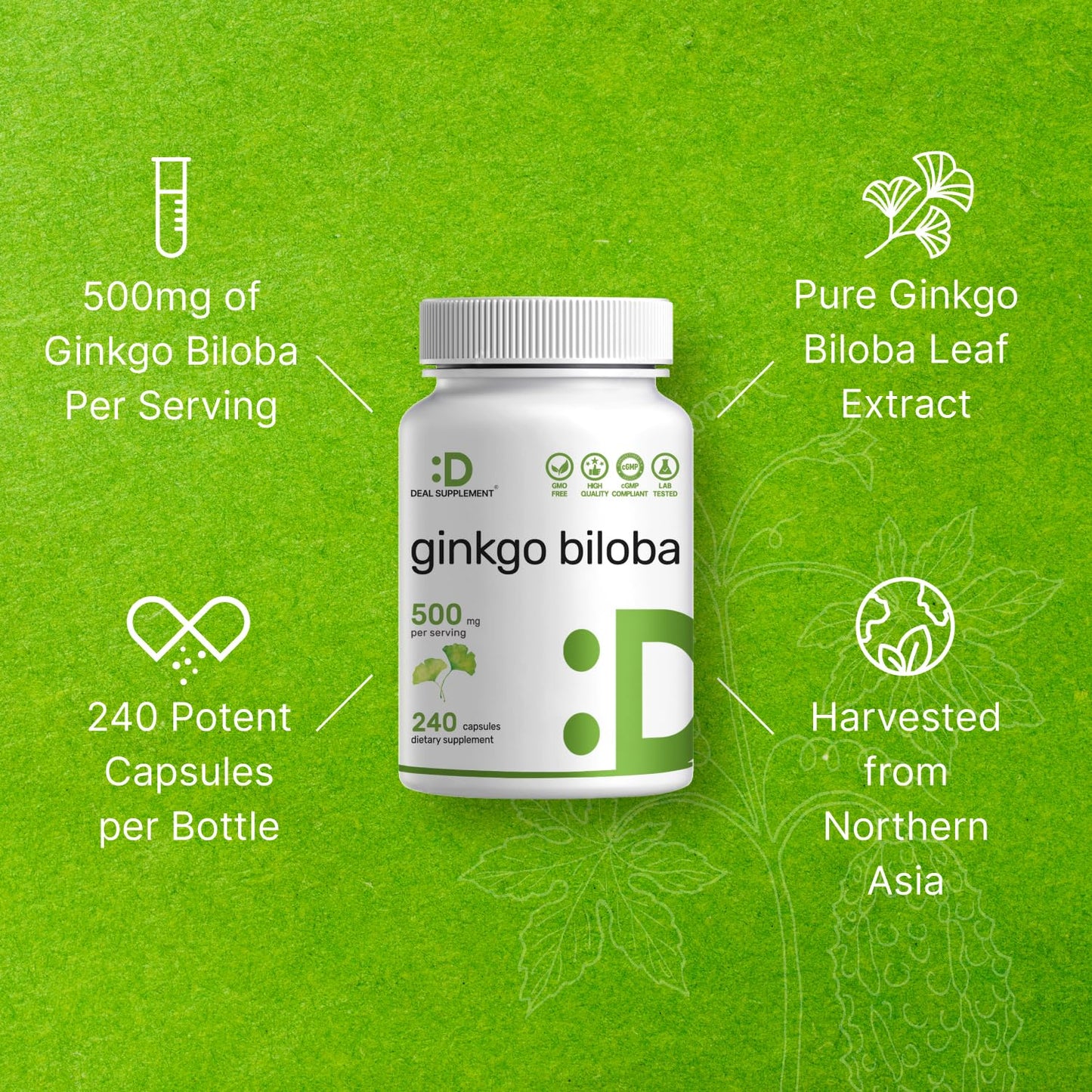 Ginkgo Biloba 500mg – 240 Capsules (4-Month Supply) – Extra Strength Brain Support