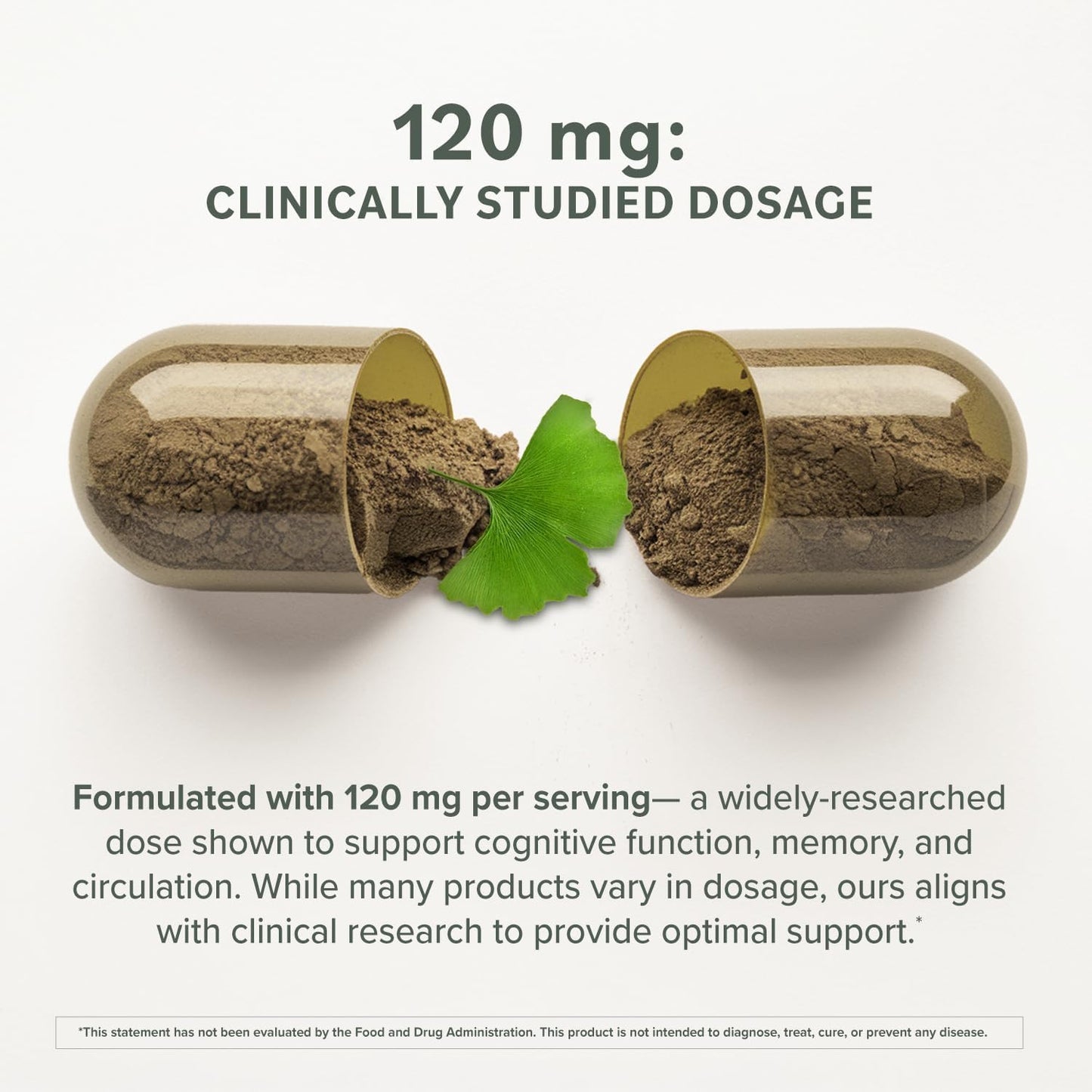 Prominent Ginkgo Biloba 120mg - Memory & Focus Support | Vegan, Non-GMO | 2-Pack