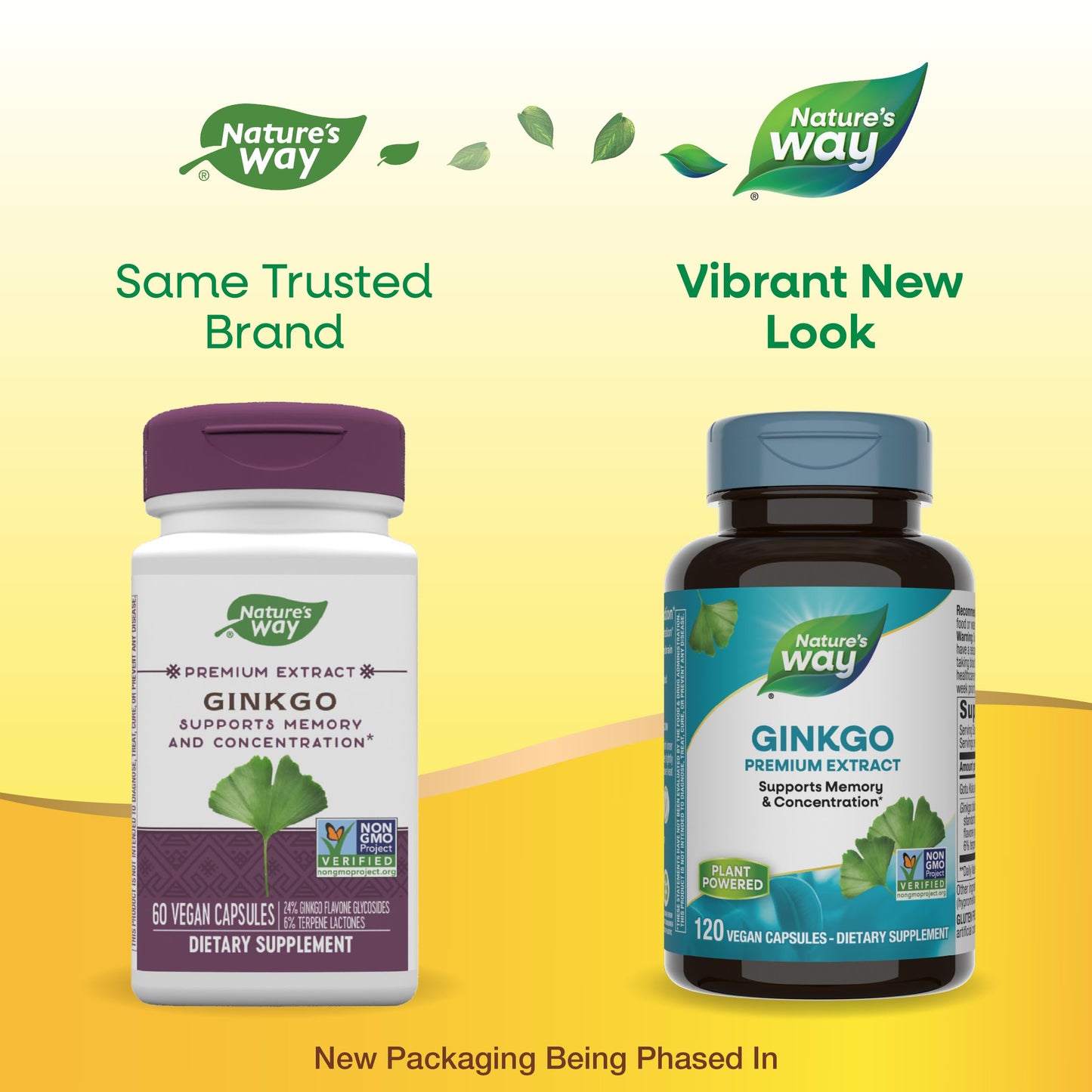 Nature's Way Premium Ginkgo Memory & Concentration – 120 Capsules