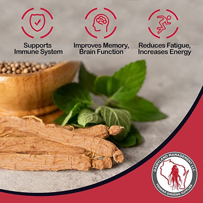 Red Panax Ginseng Powder (8 oz) – 10% Ginsenosides, Energy & Mood | Dairyland