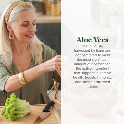 Global Healing Aloe Vera Bio-Active 200x Concentrate – Aloin-Free, 60 Capsules