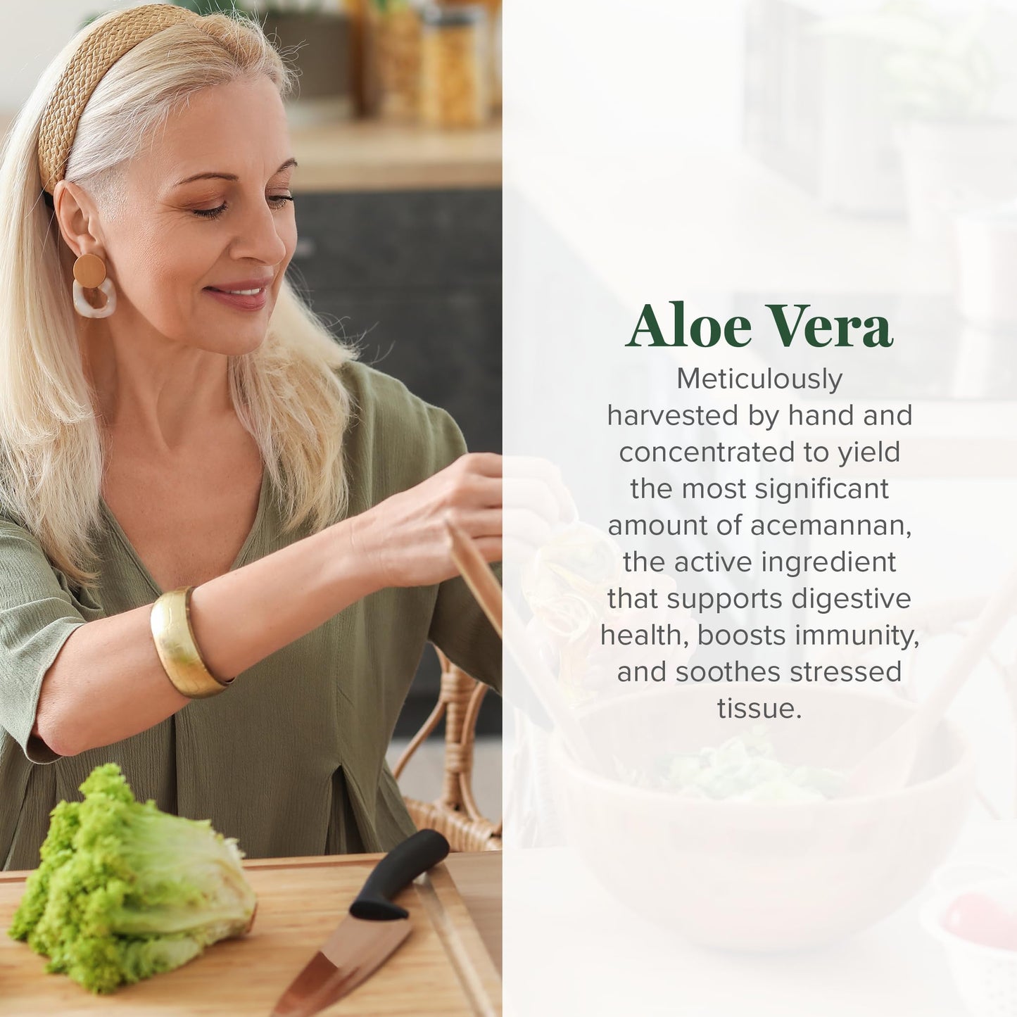 Global Healing Aloe Vera Bio-Active 200x Concentrate – Aloin-Free, 60 Capsules