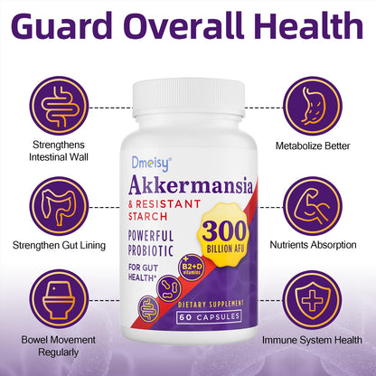 Dmeisy Akkermansia Muciniphila Supplement – 300B AFU Probiotic for Gut Health | 120 Count