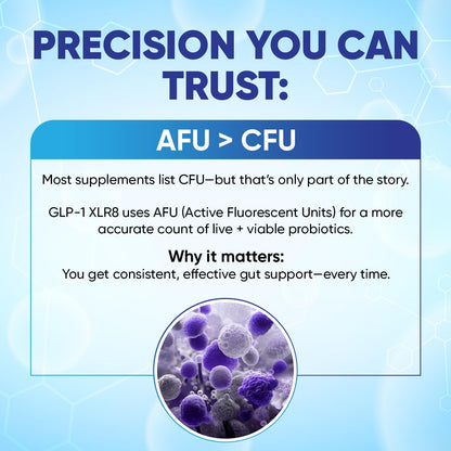 Snappy Scripts GLP-1 XLR8 Supplement – Digestive Balance & Metabolic Support (60 Capsules)