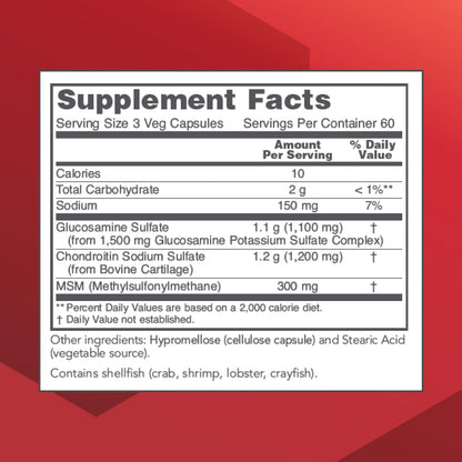 Protocol Glucosamine & Chondroitin with MSM - Joint Support (180 Veg Caps) - Non-GMO & Dairy Free