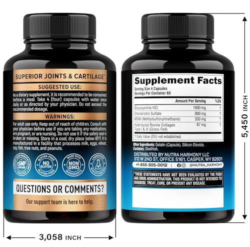 Glucosamine Chondroitin MSM Collagen – Joint Support (240 Caps) | Made in USA