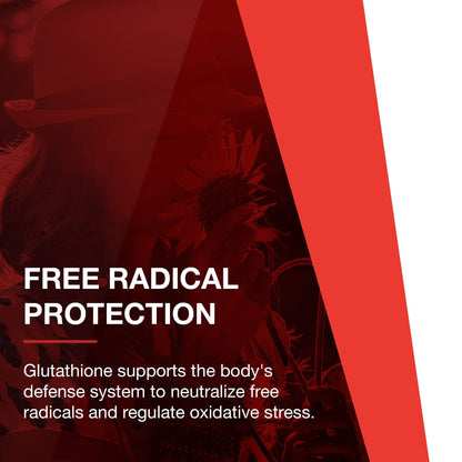 PROTOCOL FOR LIFE BALANCE Glutathione 500mg - Milk Thistle and Alpha-Lipoic Acid - 60 Veg Caps