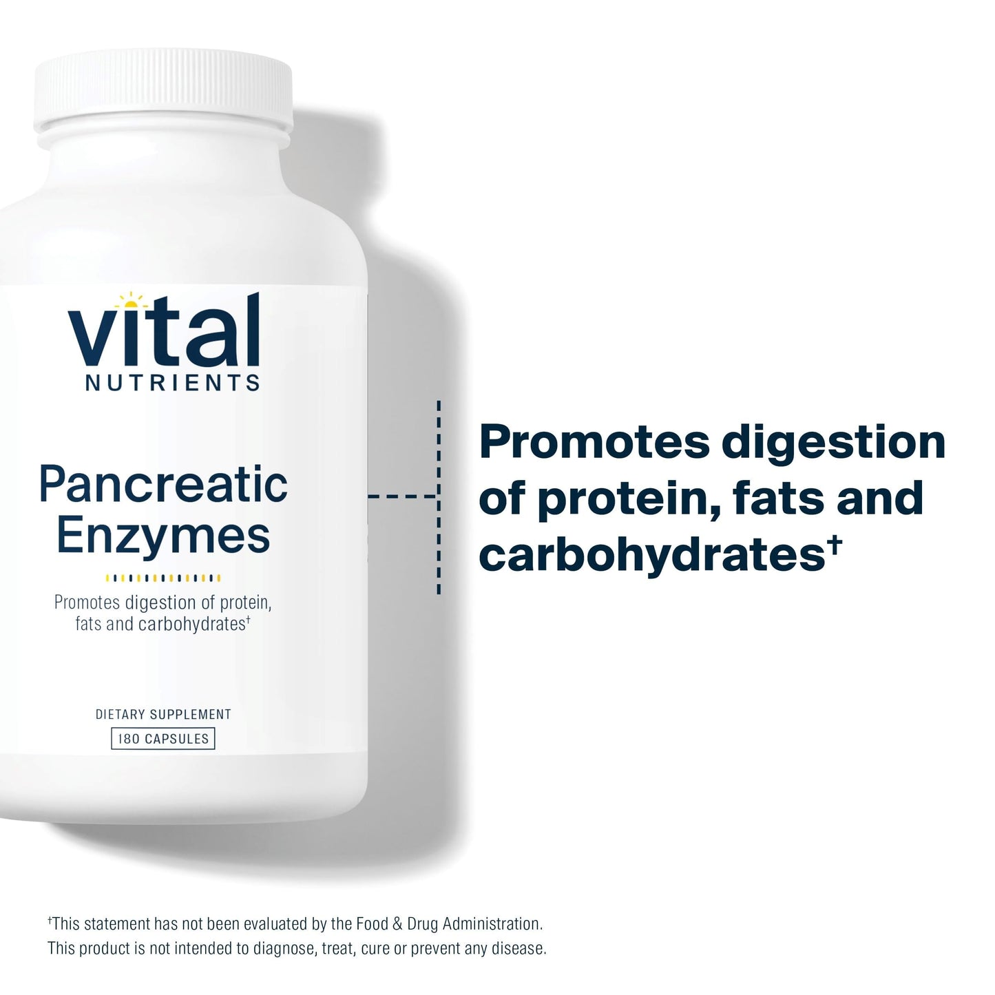 Vital Nutrients Pancreatic Enzymes 1000mg | Full-Strength Digestive Enzymes | Gluten, Dairy & Soy Free | 180 Capsules