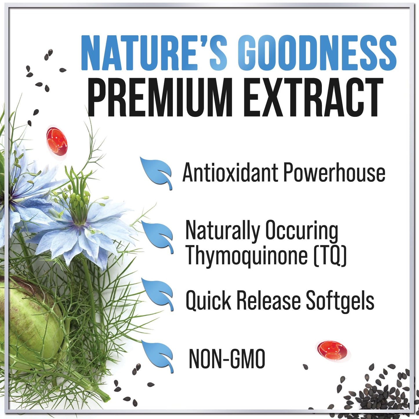 Black Seed Oil Softgels 1000mg – Premium Nigella Sativa Blackseed, Non-GMO, USA Bottled